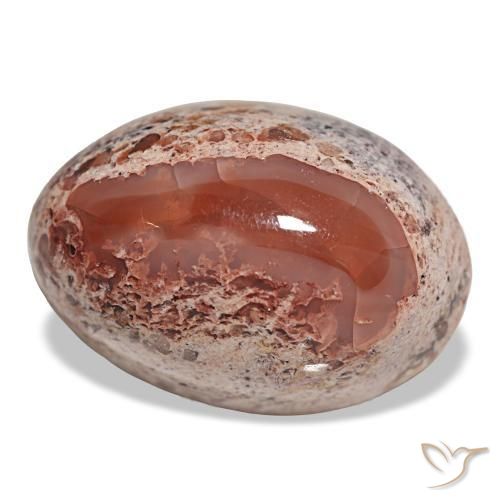 Opale de feu multicolore naturelle coupe ovale, 17,33 ct, opaque