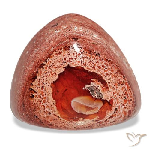 Opale de feu multicolore naturelle trillion, 14,63 ct, opaque