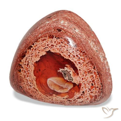 Opale de feu multicolore naturelle trillion, 14,63 ct, opaque