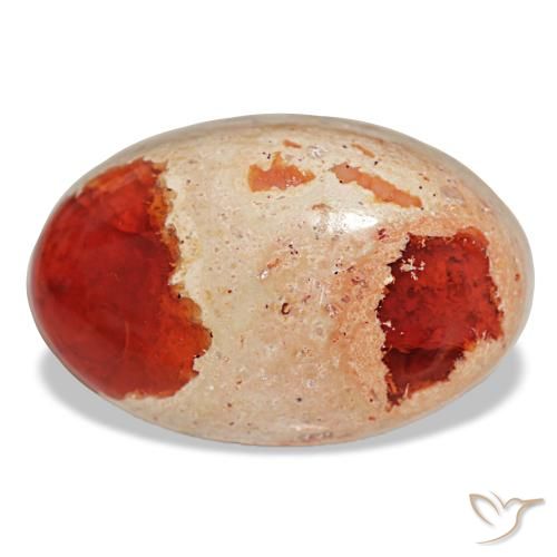 Opale de feu multicolore naturelle coupe ovale, 23,11 ct, opaque