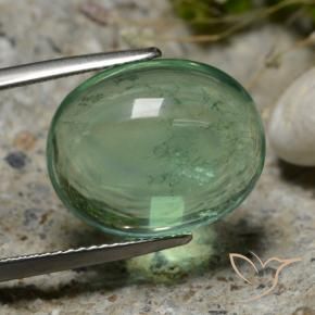 Fluorine Vert frais naturelle ovale, 15.94 ct, Transparent