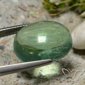Fluorine Vert frais naturelle ovale, 15.94 ct, Transparent