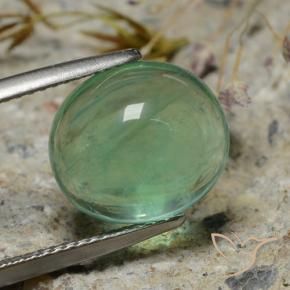 Fluorite vert mousse naturelle coupe ovale, 8,35 ct, transparent