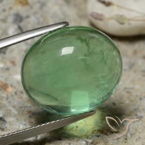 Fluorine Vert terreux naturelle ovale, 20.63 ct, Transparent