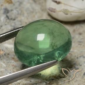 Fluorine Vert terreux naturelle ovale, 20.63 ct, Transparent