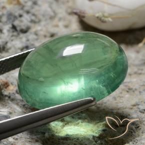 Fluorine Vert clair naturelle ovale, 25.64 ct, Transparent
