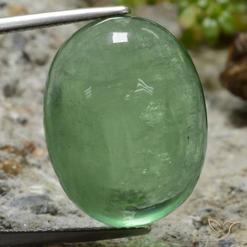 32.31ct Naturel Vert clair Fluorine, ovale, Transparent
