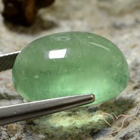 Fluorine Vert clair naturelle ovale, 27.33 ct, Transparent