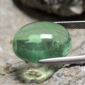 Fluorine Vert moyen naturelle ovale, 21.66 ct, Transparent