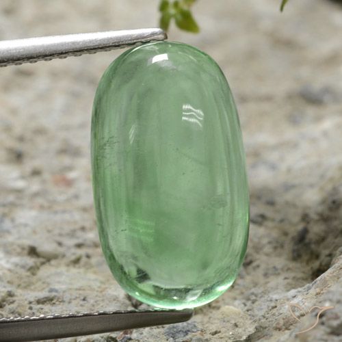 7.35ct Naturel Vert clair Fluorine, ovale, Transparent