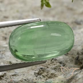 Fluorine Vert clair naturelle ovale, 7.35 ct, Transparent