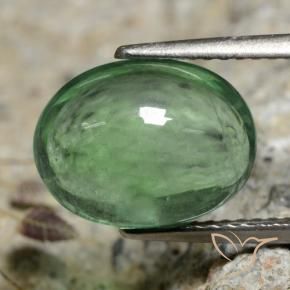 Fluorine Vert clair naturelle ovale, 5.16 ct, Transparent