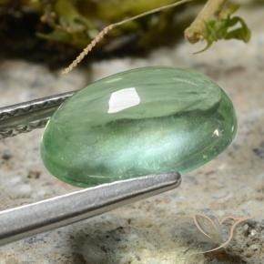 Fluorine Vert moyen naturelle ovale, 3.56 ct, Transparent