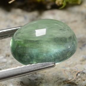 Fluorite vert naturelle coupe ovale, 4,62 ct, transparent