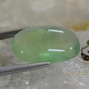 Fluorine Vert terreux naturelle Coussin, 19.97 ct, Transparent