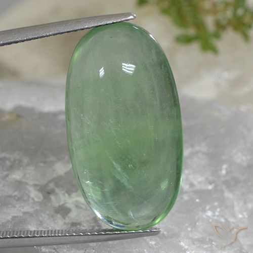 27.65ct Naturel Vert chaud Fluorine, ovale, Transparent
