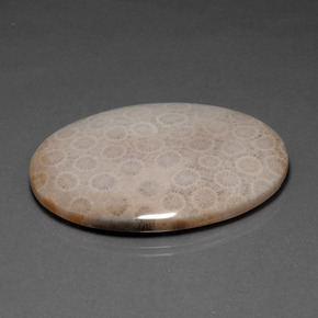 Corail fossile multicolore naturelle coupe ovale, 93,67 ct, opaque