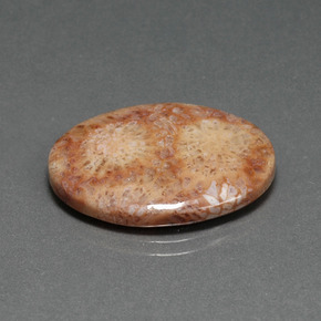 Corail fossile multicolore naturelle coupe ovale, 14,77 ct, opaque
