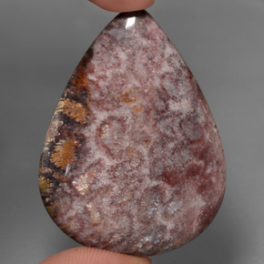 Corail fossile multicolore naturelle en forme de poire, 65,56 ct, opaque
