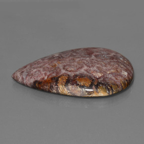 Corail fossile multicolore naturelle en forme de poire, 65,56 ct, opaque
