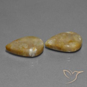 Shop natural 21.95ct Multicolore corail fossile gems, En forme de poire, from Indonésie at GemSelect. In stock, global shipping!