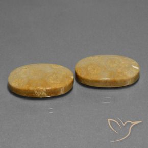 Shop natural 32.11ct Multicolore corail fossile gems, ovale, from Indonésie at GemSelect. In stock, global shipping!