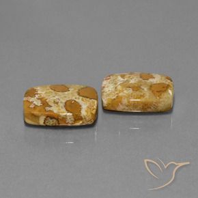 Shop natural 19.08ct Multicolore corail fossile gems, Coussin, from Indonésie at GemSelect. In stock, global shipping!