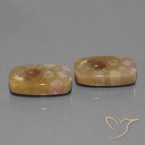Shop natural 30.11ct Multicolore corail fossile gems, Coussin, from Indonésie at GemSelect. In stock, global shipping!