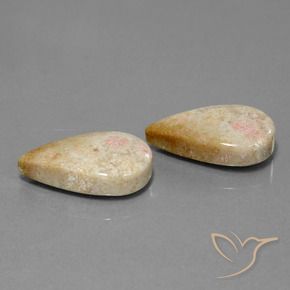 Shop natural 28.35ct Multicolore corail fossile gems, En forme de poire, from Indonésie at GemSelect. In stock, global shipping!