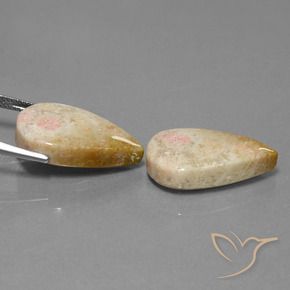 Shop natural 28.35ct Multicolore corail fossile gems, En forme de poire, from Indonésie at GemSelect. In stock, global shipping!
