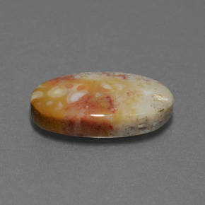 Corail fossile multicolore naturelle coupe ovale, 8,82 ct, opaque