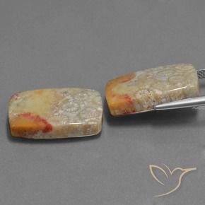 Shop natural 29.41ct Multicolore corail fossile gems, Coussin, from Indonésie at GemSelect. In stock, global shipping!