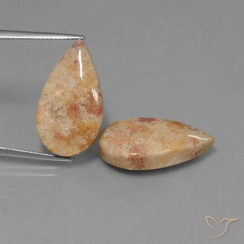 22.64ctw Naturel Multicolore corail fossile, En forme de poire, Opaque