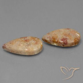Shop natural 22.64ct Multicolore corail fossile gems, En forme de poire, from Indonésie at GemSelect. In stock, global shipping!