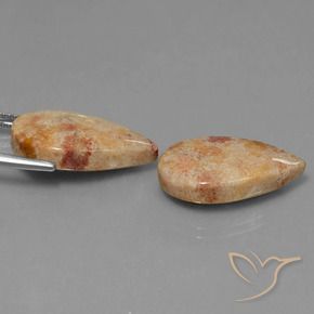 Shop natural 22.64ct Multicolore corail fossile gems, En forme de poire, from Indonésie at GemSelect. In stock, global shipping!