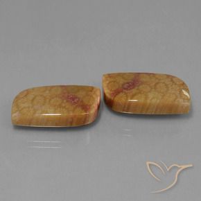 Shop natural 28.06ct Multicolore corail fossile gems, Fantaisie, from Indonésie at GemSelect. In stock, global shipping!