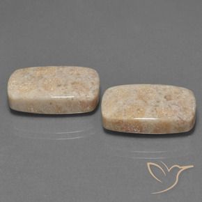Shop natural 30.16ct Multicolore corail fossile gems, Coussin, from Indonésie at GemSelect. In stock, global shipping!