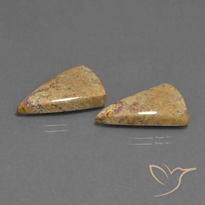 Shop natural 16.43ct Multicolore corail fossile gems, Trillion, from Indonésie at GemSelect. In stock, global shipping!
