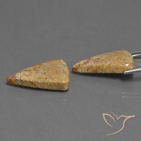 Shop natural 16.43ct Multicolore corail fossile gems, Trillion, from Indonésie at GemSelect. In stock, global shipping!