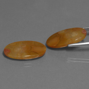 Achetez naturel ct Multicolore Corail fossile gems, Coupe ovale, En provenance Indonésie chez GemSelect. En stock, livraison internationale!