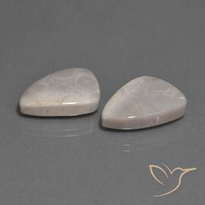 Shop natural 23.12ct Multicolore corail fossile gems, Trillion, from Indonésie at GemSelect. In stock, global shipping!