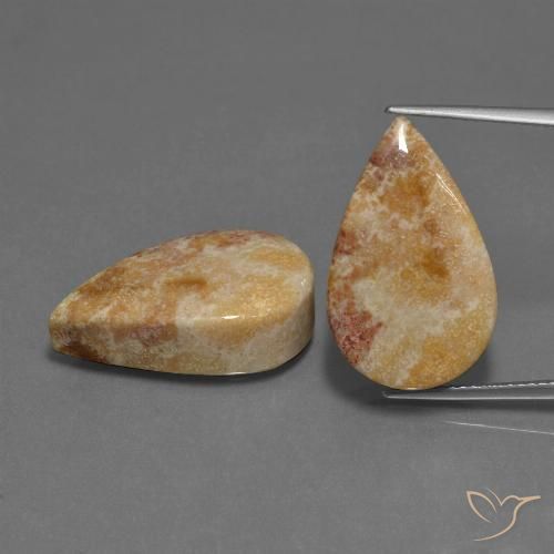 33.44ctw Naturel Multicolore corail fossile, En forme de poire, Opaque