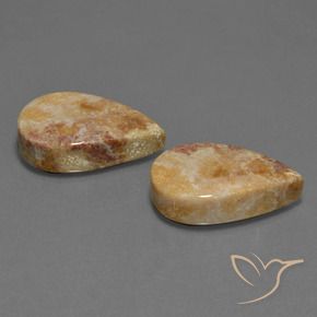 Shop natural 33.44ct Multicolore corail fossile gems, En forme de poire, from Indonésie at GemSelect. In stock, global shipping!