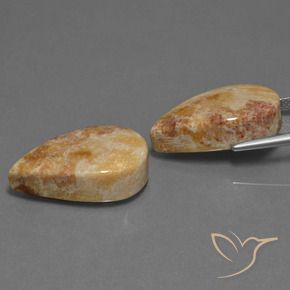 Shop natural 33.44ct Multicolore corail fossile gems, En forme de poire, from Indonésie at GemSelect. In stock, global shipping!