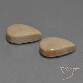 Shop natural 17.01ct Multicolore corail fossile gems, En forme de poire, from Indonésie at GemSelect. In stock, global shipping!