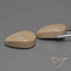 Shop natural 17.01ct Multicolore corail fossile gems, En forme de poire, from Indonésie at GemSelect. In stock, global shipping!