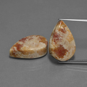 Achetez naturel ct multicolore corail fossile gems, en forme de poire, en provenance indonésie chez gemselect. en stock, livraison internationale!