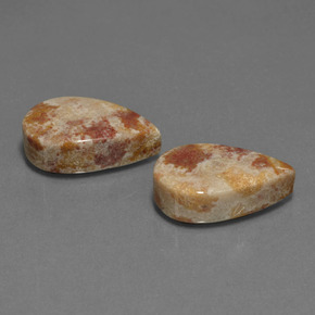 Achetez naturel ct multicolore corail fossile gems, en forme de poire, en provenance indonésie chez gemselect. en stock, livraison internationale!