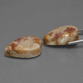 Achetez naturel ct multicolore corail fossile gems, en forme de poire, en provenance indonésie chez gemselect. en stock, livraison internationale!