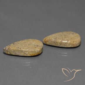 Shop natural 17.13ct Multicolore corail fossile gems, En forme de poire, from Indonésie at GemSelect. In stock, global shipping!